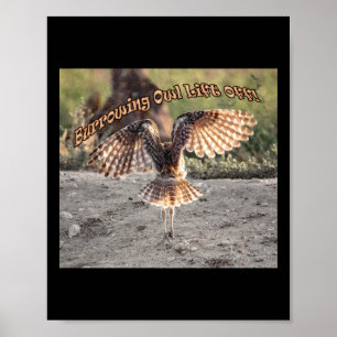 Burrowing Owl Lift Off Sticker Poster