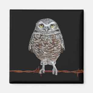 Burrowing Owl Magnet