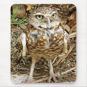 Burrowing Owl Mousepad
