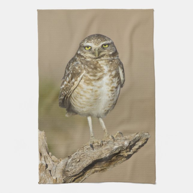 Burrowing Owl on a Cholla Rib Tea Towel (Vertical)
