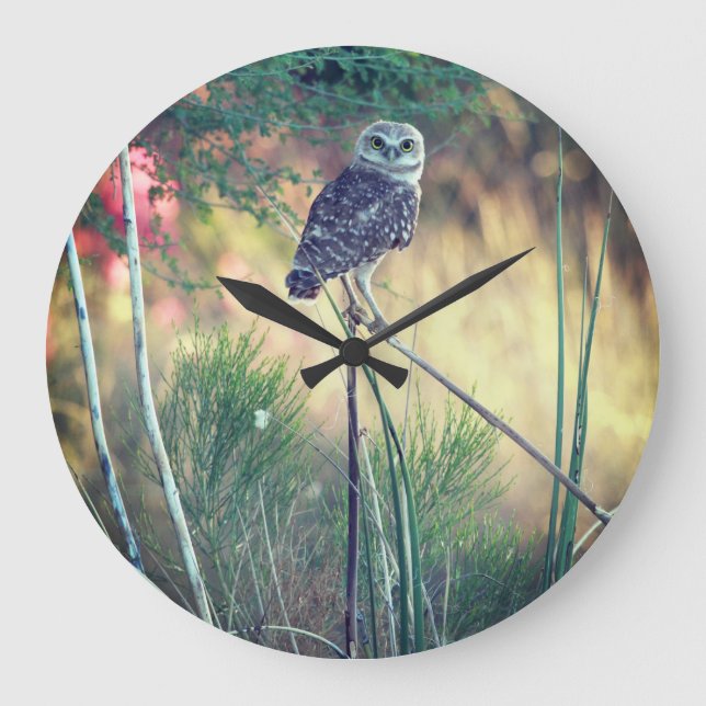 Burrowing Owl Perched Round Clock (Front)