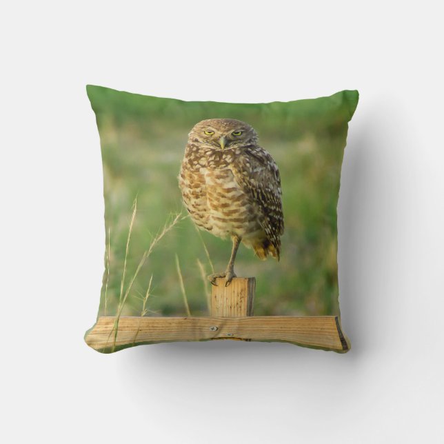 Burrowing Owl Pillow (Front)