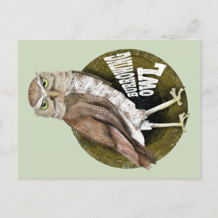 Burrowing owl shoco postcard