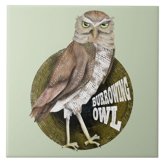 Burrowing owl shoco tile (Front)