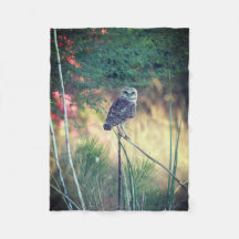 Burrowing Owl Small Fleece Blanket