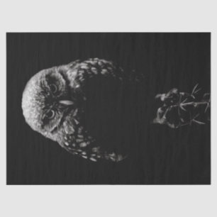 'Burrowing Owl' Tissue Paper