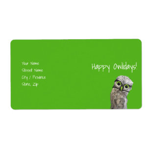 Burrowing Owls