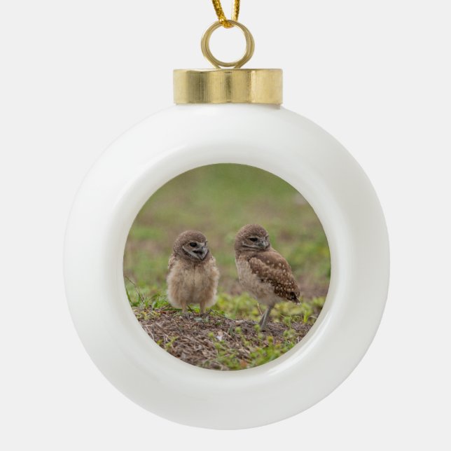 Burrowing Owls Ceramic Ball Christmas Ornament (Front)