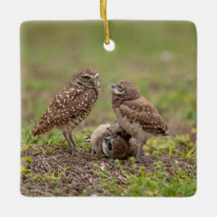 Burrowing Owls Ceramic Ornament