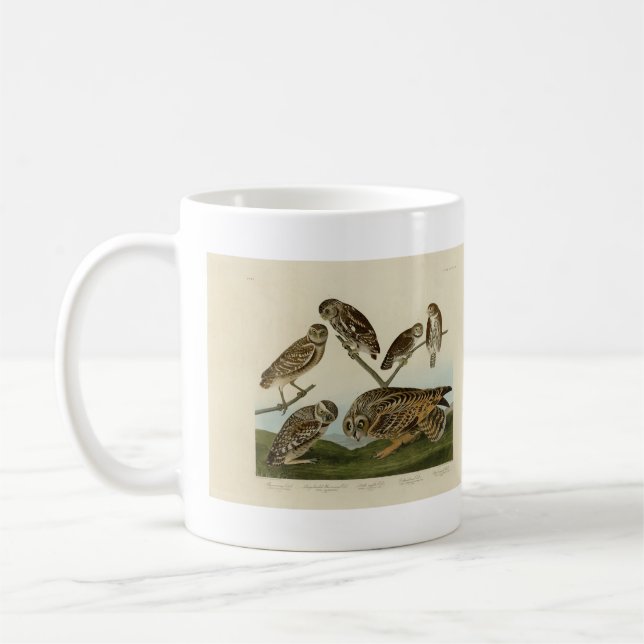 Burrowing Owls - from Audubon's Birds of America Coffee Mug (Left)