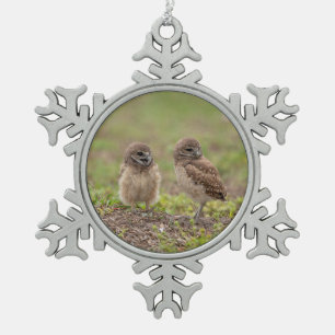 Burrowing Owls Snowflake Pewter Christmas Ornament