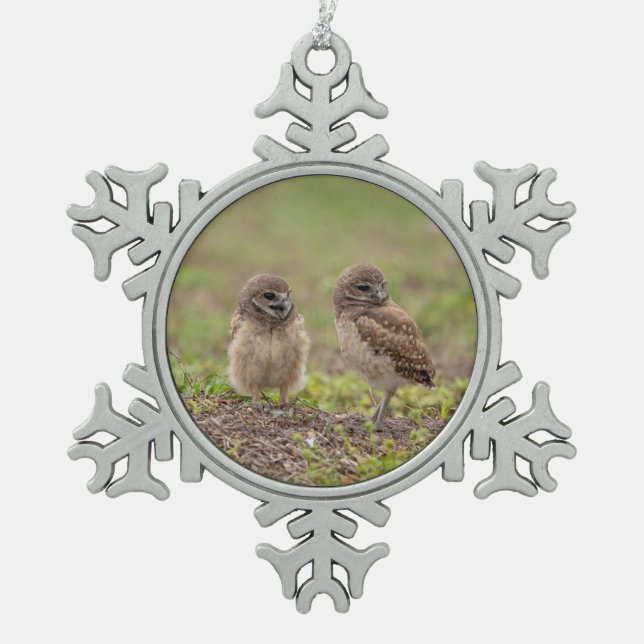 Burrowing Owls Snowflake Pewter Christmas Ornament (Front)