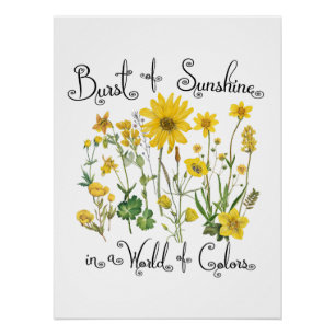 Burst of Sunshine in a World of Colours Poster