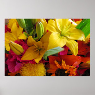 Bursts of Colours Poster