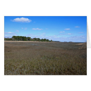 Burton Island Nature Preserve Trail