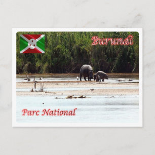 Burundi - Parc National de la Rusizi - Postcard
