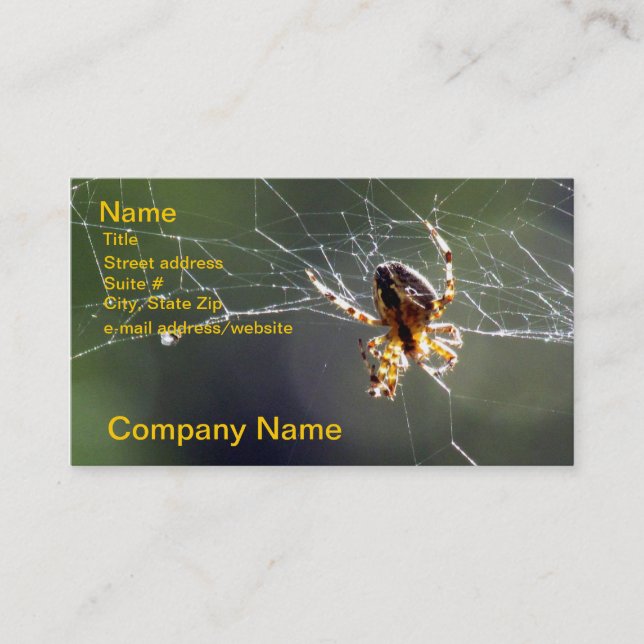Bus. Card - Spider on Web (Front)