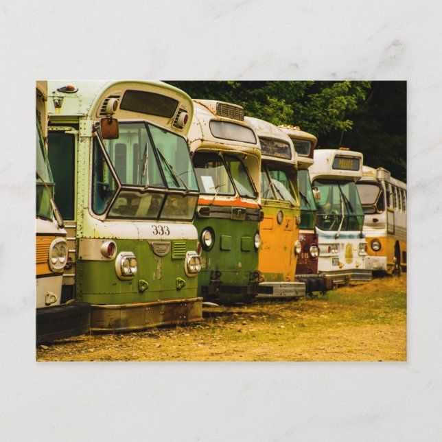 BUS GRAVEYARD POSTCARD (Front)