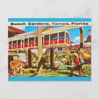 Busch Gardens Tampa Florida Postcard