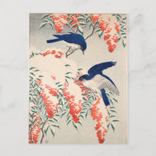 Bush and Fly Catchers in Snow by Ohara Koson Postcard