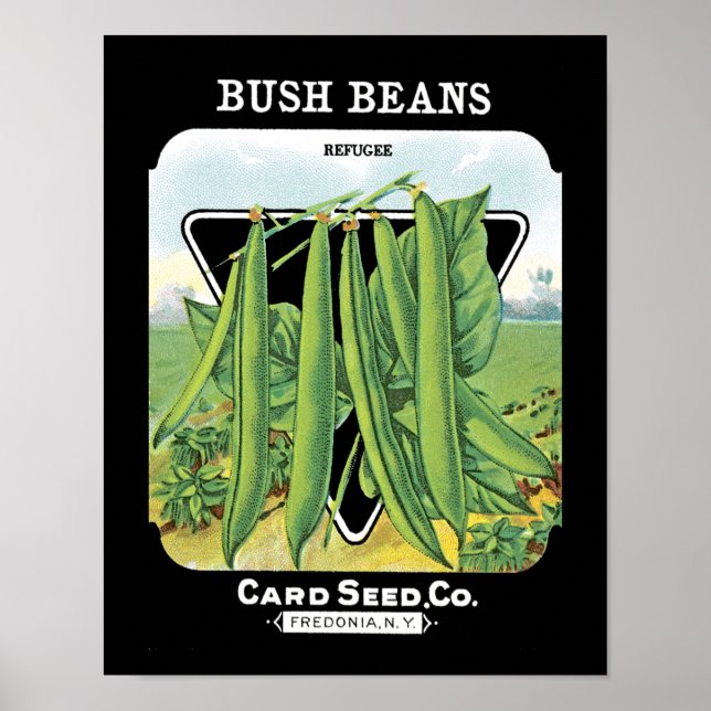 Bush Beans Seed Packet Label Poster (Front)
