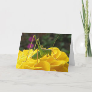 Bush Cricket Greeting Card