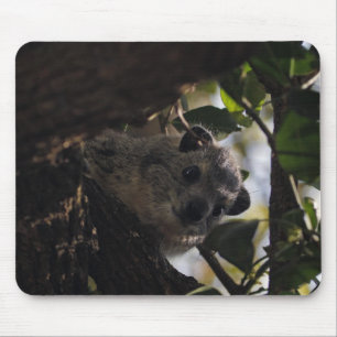 Bush Hyrax Mouse Mat