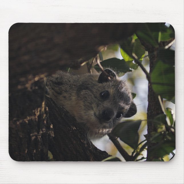 Bush Hyrax Mouse Mat (Front)