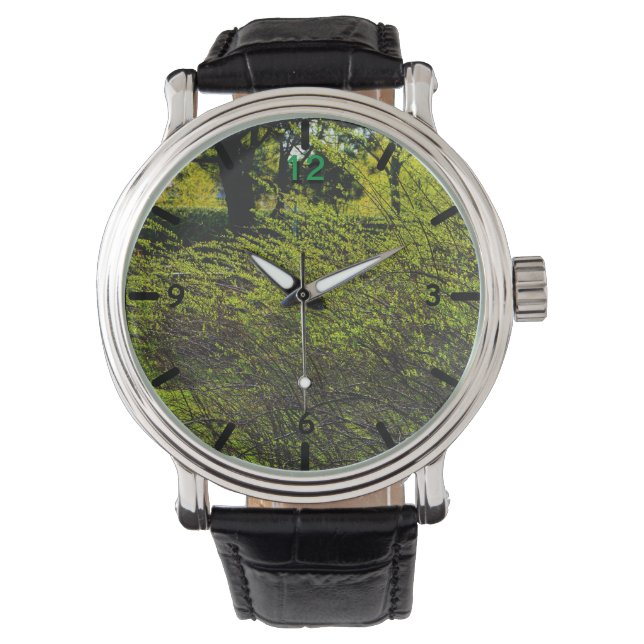 Bush Watch (Front)