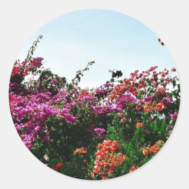 Bush With Purple Red And Orange Flowers Classic Round Sticker (Front)