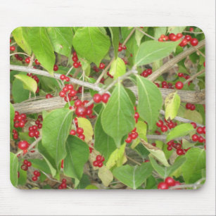 Bush with Red Berries Mouse Mat