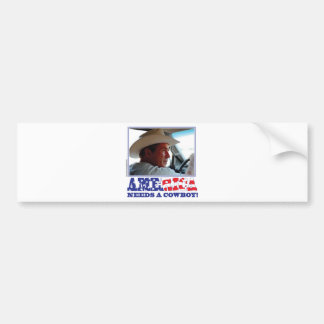 BushAMERICA Bumper Sticker