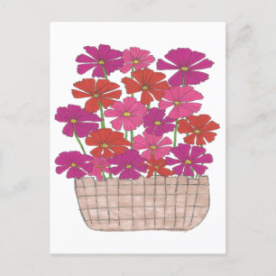 Bushel of Bright Cosmos Postcard
