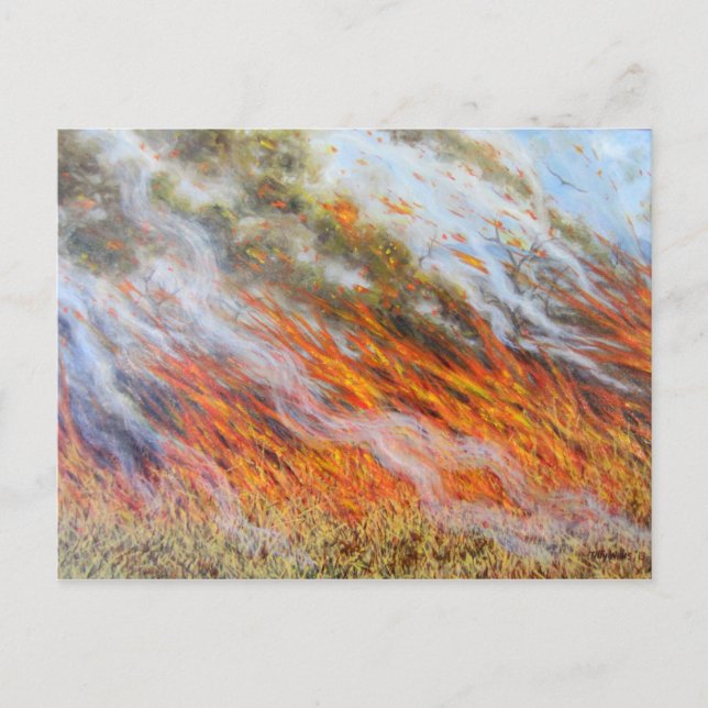 Bushfire Inferno 2014 Postcard (Front)
