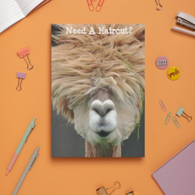 Bushy Hair Brown Llama Hair Stylist Postcard (Creator Uploaded)
