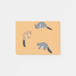 Bushy Tail Possums Post-it Notes