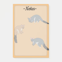 Bushy Tail Possums