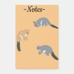 Bushy Tail Possums Post-it Notes