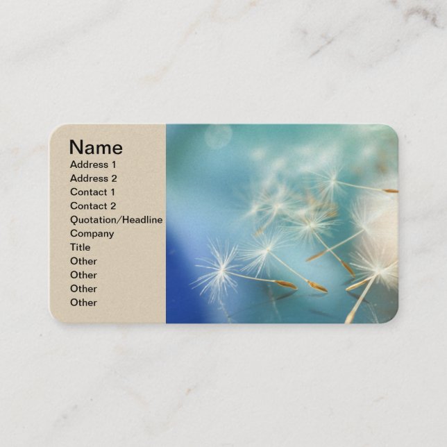  Business Card (Front)