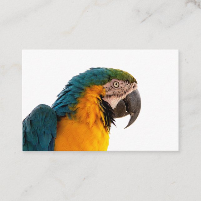 Business Card (Front)