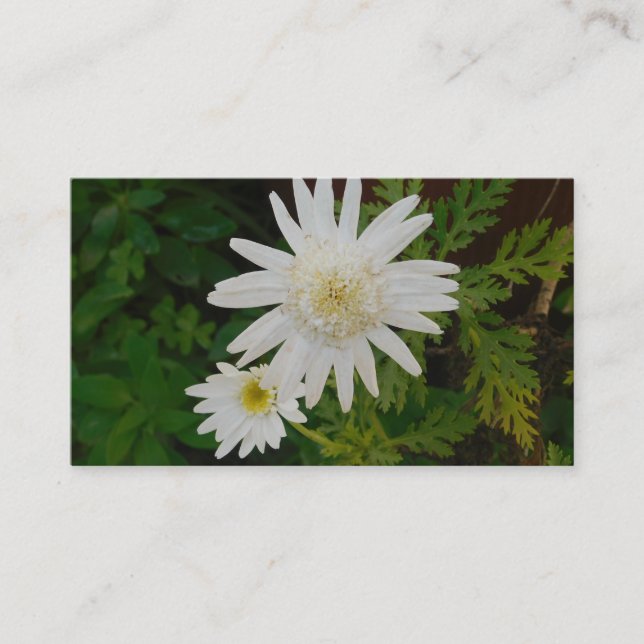 BUSINESS CARD ART&DESIGN STYLE  (Front)