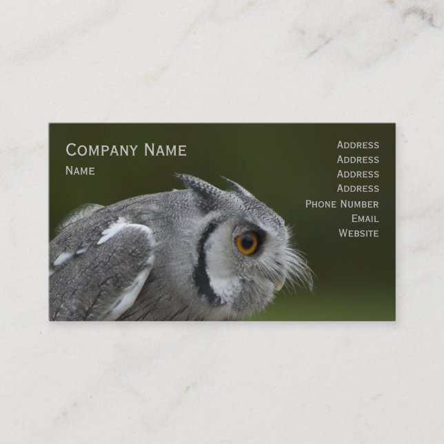 Business Card - Baby Grey Owl (Front)