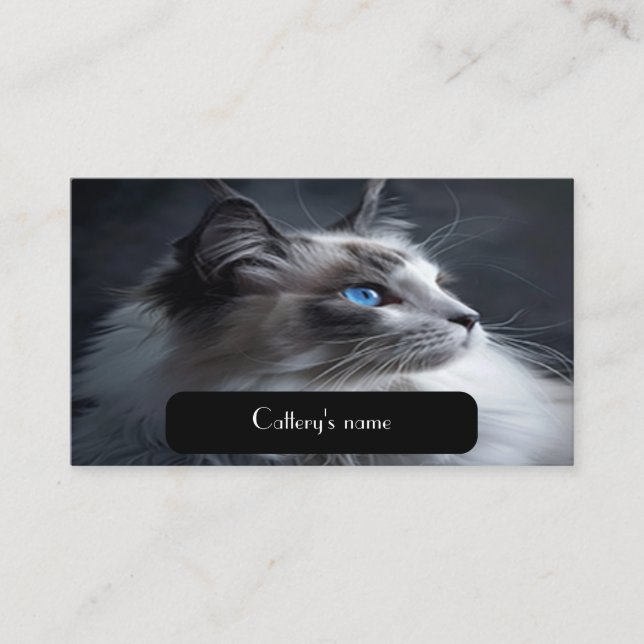 Business Card For Catteries Ragdoll Cat (Front)