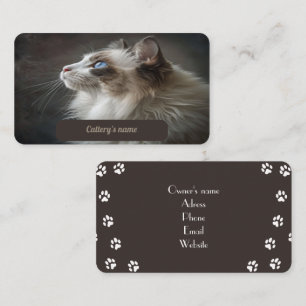 Business Card For Cattery Ragdoll