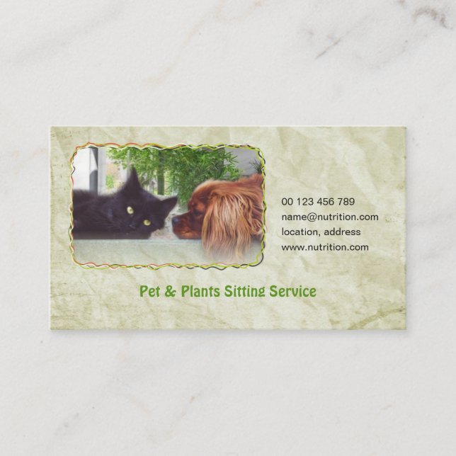 business card for Pet & Plants Sitting Service (Front)