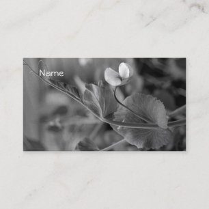 Business Card Pea Vine 2