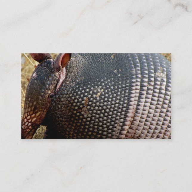business card template armadillo photograph (Front)