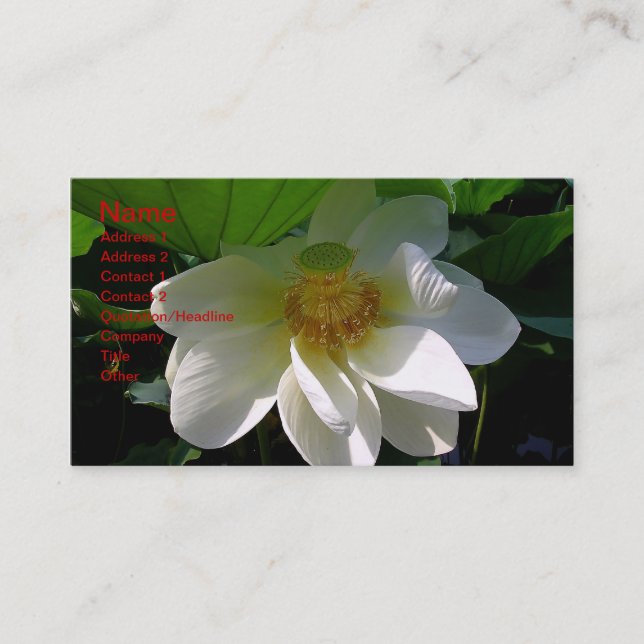 Business Card with delicate white Lotus Flower (Front)