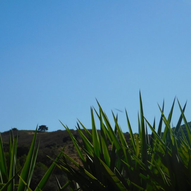 BUSINESS CARDS ART&DESIGN (Creator Uploaded)