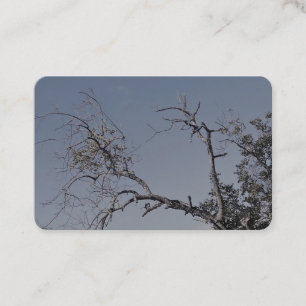 BUSINESS CARDS ART&DESIGN STYLE 